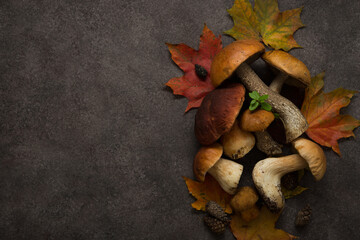 Autumn forest mushrooms lie on a brown background with fallen leaves, nature, top view
