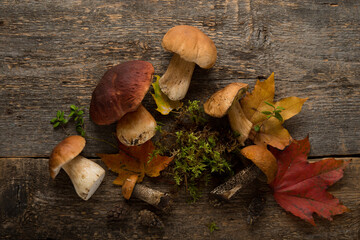 Autumn forest mushrooms lie on a wooden background, nature