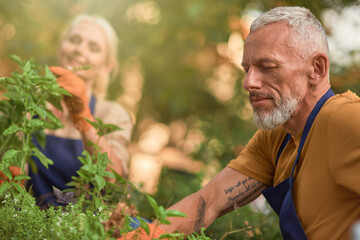 Cheerful middle aged caucasian couple gardening
