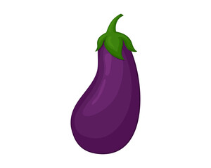 Eggplant vector illustration. Purple vegetable in cartoon style. Illustration isolated on white background
