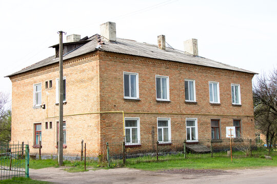 Rumyantsevaning yalangoch mushuki