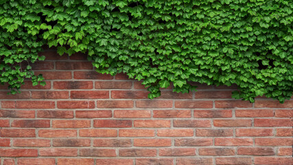 ivy plant on a red brick wall - obrazy, fototapety, plakaty
