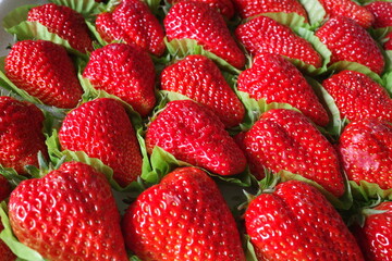 fresh strawberry on sale