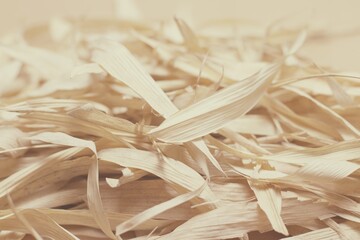 Brown dry leaves, Autumn background