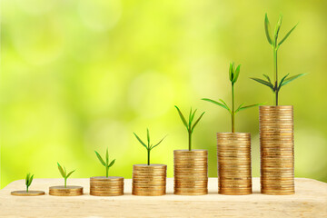 Small tree growing on a coin step increase. Business with natural bokeh background.