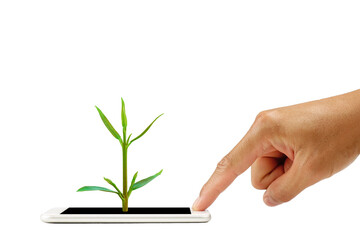 finger touch screen on smart phone with a small tree growing.  isolated on white background with clipping path