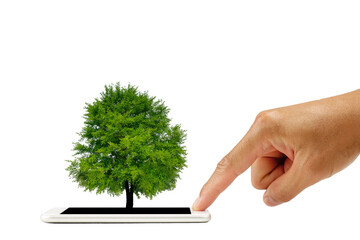 finger touch screen on smart phone with a tree growing on white background. business concept.