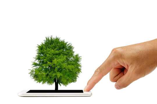 finger touch screen on smart phone with a tree growing on white background. business concept.
