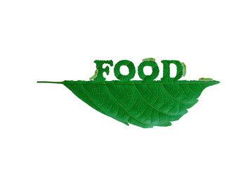 food leaf with Leaf-eating worm. Green natural clean energy for save the earth and environment green natural ecology.