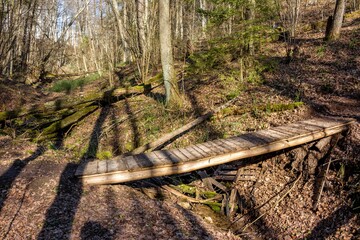 Footbridge over a small ravine, flooring through a ditch in the forest