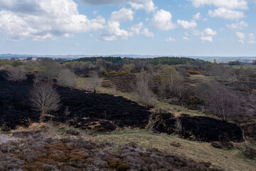 Drone view of recent arson attack at Waldridge Fell. Site of Special Scientific Interest in County Durham. Scorched black heather and gorse bushes after large heath fire.