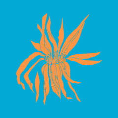 Flower hand drawn flat illustration. Botanical design elements. Vector sketch clip art.