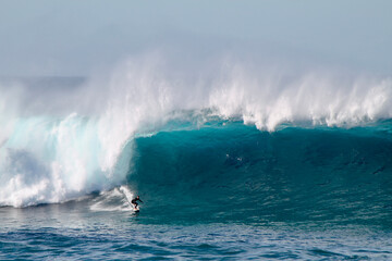 Australian surfer descending a antigang wave at Coogee beach between the beaches of Bondi and...