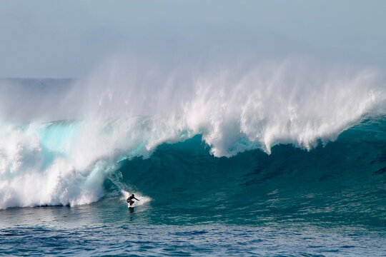 Australian surfer descending a antigang wave at Coogee beach between the beaches of Bondi and Maroubra south of Sydney Australia
