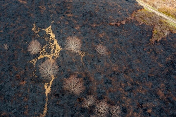 Drone view of recent arson attack at Waldridge Fell. Site of Special Scientific Interest in County...