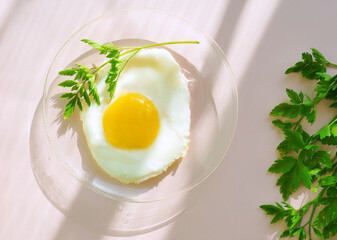 fried egg with parsley