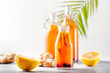 Blueberries, Cranberries Fermented Raw Kombucha Vegan Drink With Ginger And Lemon In Bottle With Eco-friendly Straw