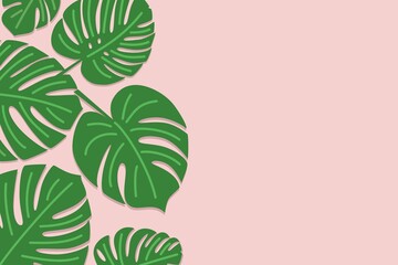 Fototapeta na wymiar Tropical leaves of Monstera on a pink background. Flat style, top view. Vector illustrations.