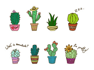 Colored cactus in pot. Colorful succulents. Isolated drawing of desert plant. Mexican exotic flora