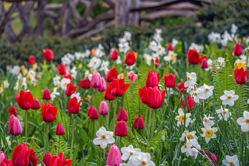 Central Park in spring