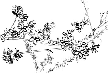 Spring Blossom Vintage Ink Vector