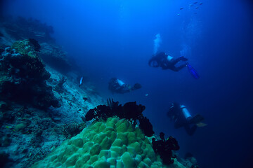 divers in the ocean, underwater sport active recreation in the deep ocean