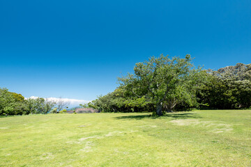 青空広がる初夏の公園　千葉県大房岬　5月