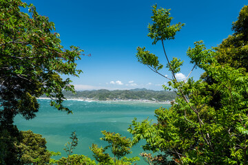 木の間から見える千葉県富浦親港　5月