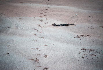 Footprints in the sand 