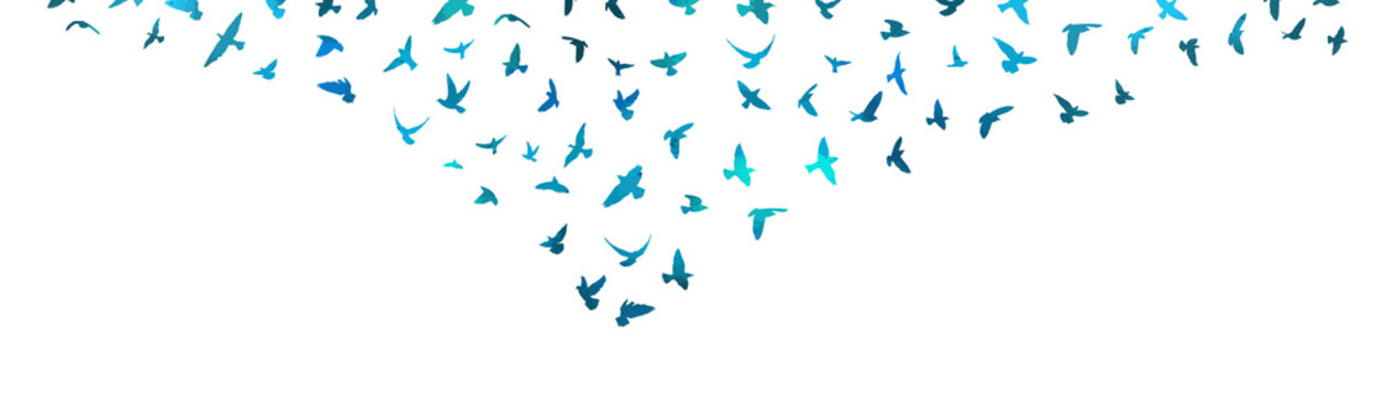 Bird watercolor. A flock of blue birds. Mixed media. Vector illustration
