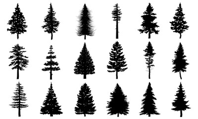 Big Collection of Black pine trees silhouettes vector Icon. Can be used to illustrate any nature or healthy lifestyle topic.