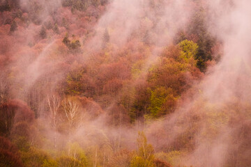 A foggy, dreamy landscape with a colourful autumn forest - Rila Mountain, Bulgaria