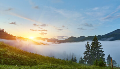 Fototapeta na wymiar gorgeous foggy sunrise in Carpathian mountains. lovely summer landscape of Volovets district. purple flowers on grassy meadows and forested hill in fog.