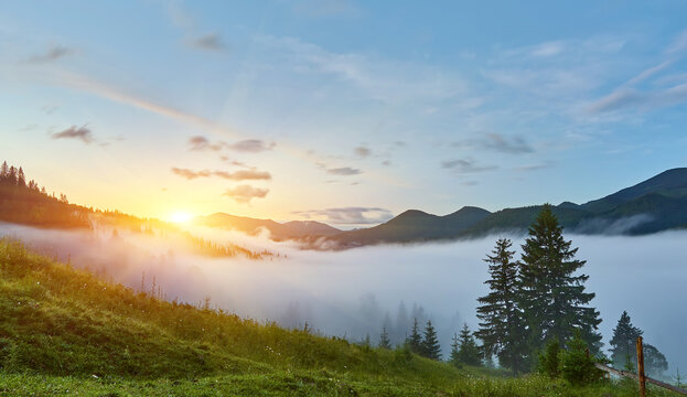 gorgeous foggy sunrise in Carpathian mountains. lovely summer landscape of Volovets district. purple flowers on grassy meadows and forested hill in fog.