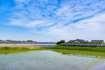 メガソーラー　太陽光発電　ソーラーパネル　【 気候変動 イメージ 】