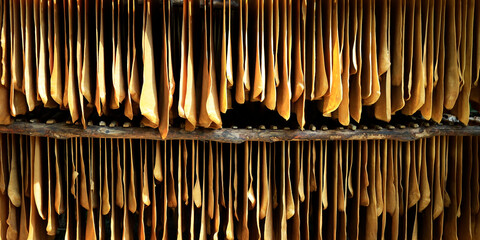 sheet of latex  drying ,collected from rubber trees 
