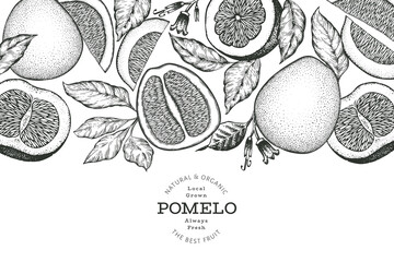 Hand drawn sketch style pomelo banner. Organic fresh fruit vector illustration. Retro fruit design template