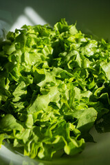 fresh green salad