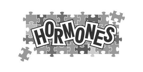 Fototapeta premium human hormones collected from puzzles