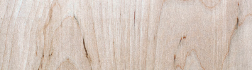 Wooden background texture of plywood. Banner.