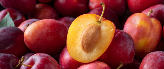 Ripe red plums, fruit background close up. Banner.