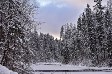 Fototapeta premium Winter in Russia