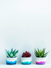 Beautiful unique DIY painted concrete pot.
