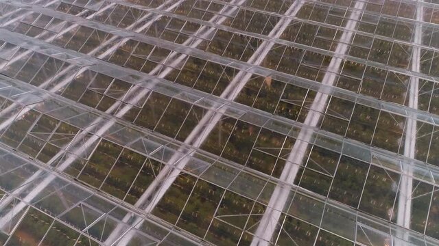 Fly over the greenhouse on a warm day