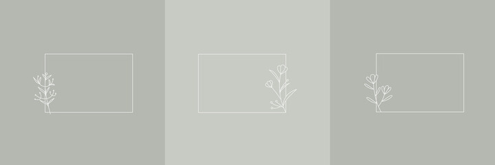 Set Hand Drawn Organic grass, Leaves and flower with square frame, Floral elements, Botanical illustration, Decorative Leaf, Vector Illustration for graphic design, wedding, invitation, logo, cosmetic