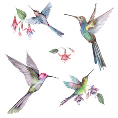   Seamless pattern with flying hummingbirds and pink fuchsia flowers with buds and green leaves. Isolated elements on a white background. Watercolor for textile, background, wallpaper, packaging. © Pavla aquarelle