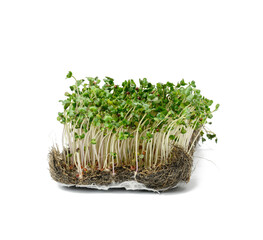 green broccoli sprouts on a white background, healthy microgreen
