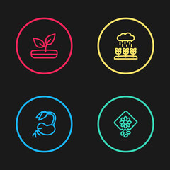 Set line Sprout, Pack full of seeds of plant, Plant sprouts grow in the rain and icon. Vector