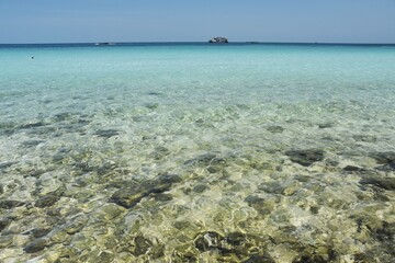Vacation in the bay of the ocean surrounding the rainforest