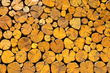 A Pile of yellow wood log background texture.